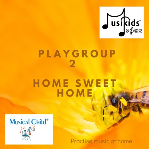 music playgroup 2 year old home