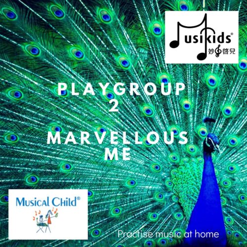 music playgroup 2 year old marvellous