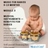 musical instrument songs baby music